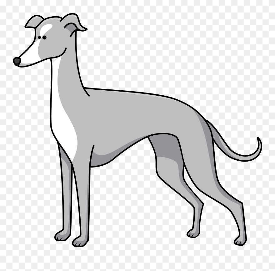 Greyhound Clipart - Png Download