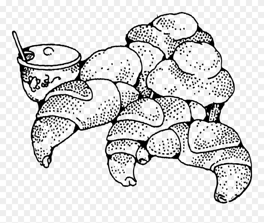 Rolls And Honey Svg Clip Arts - Croissant Clip Art - Png Download