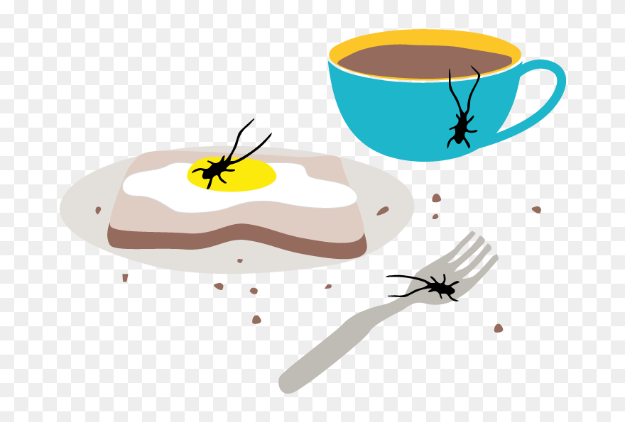 Cockroach Infestation In A Kitchen - Dish Clipart