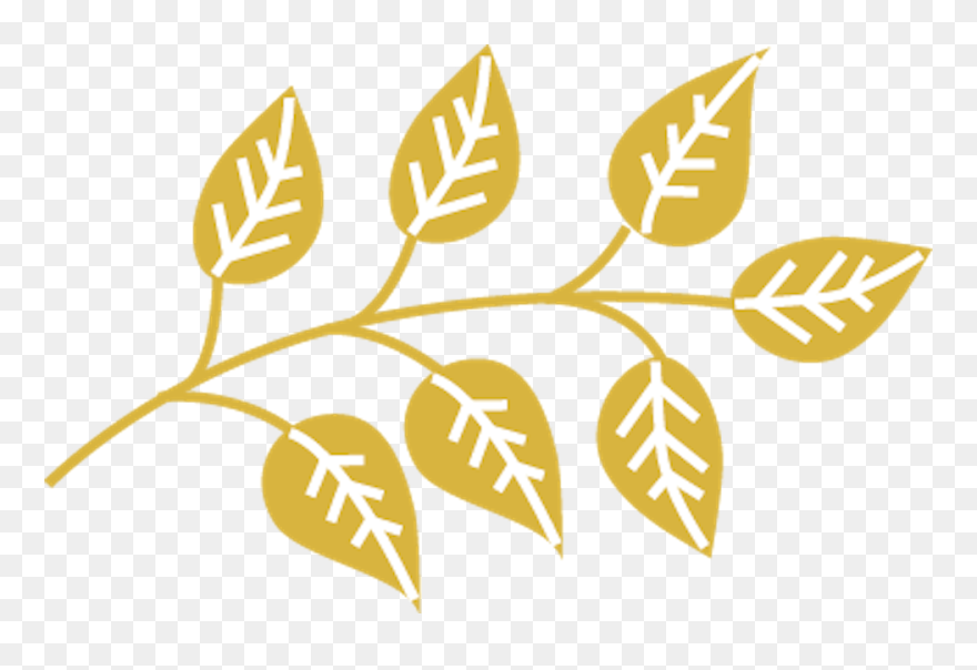 Lifestyle Clipart Joy - Motif - Png Download