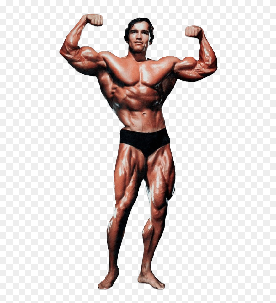 Arnold Schwarzenegger Bodybuilding Png Clipart - Arnold Schwarzenegger Png Transparent Png