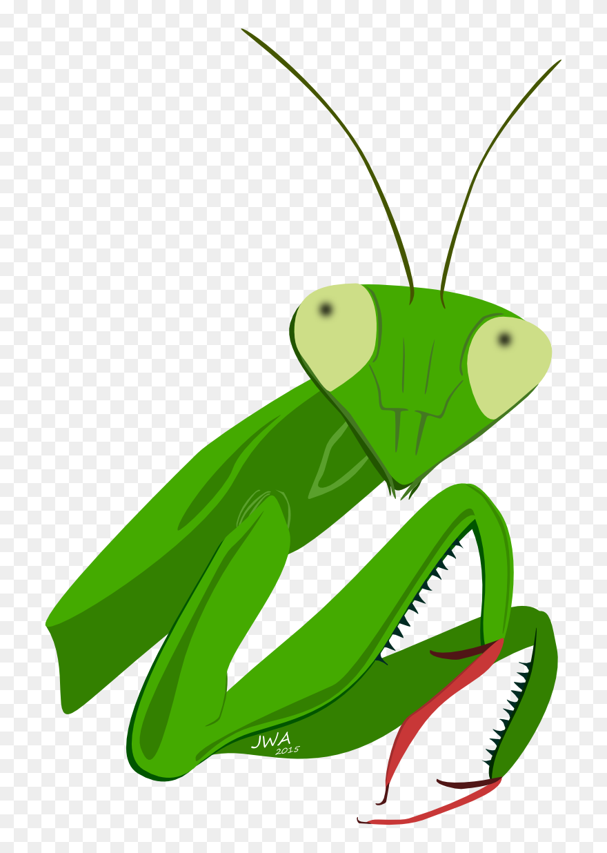 Clip Art Insect Animal Honey Theme - Praying Mantis Cartoon Head - Png Download
