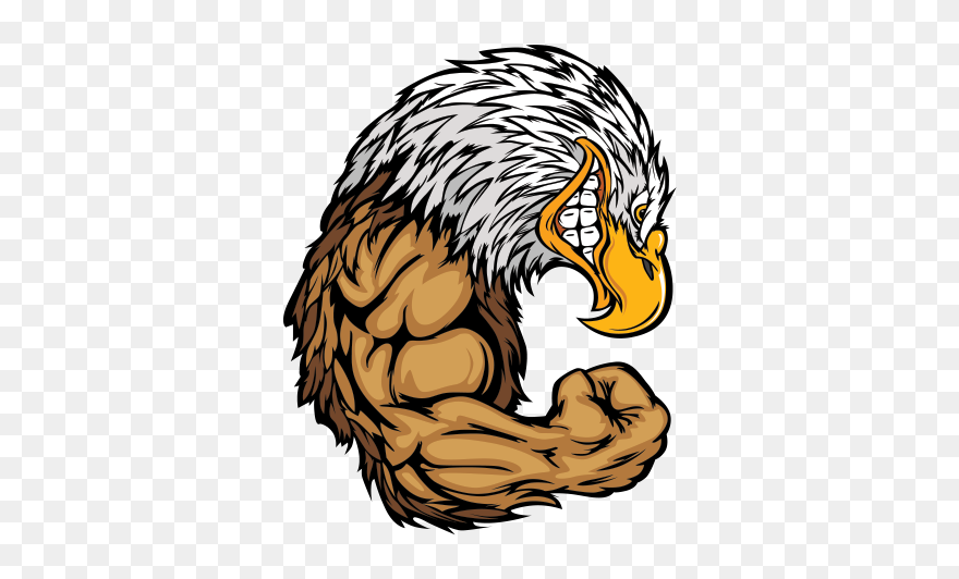 Diving Clipart Eagle - Cartoon Falcon - Png Download