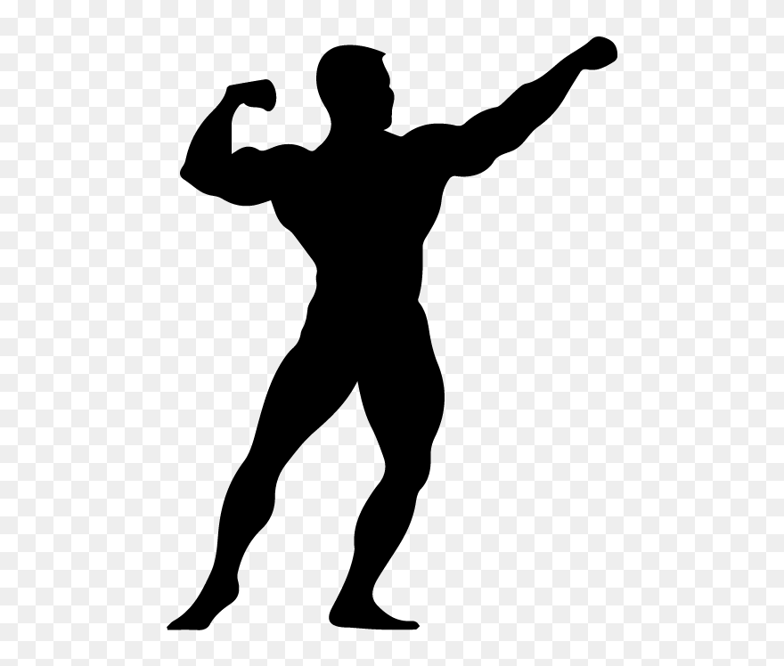 Bodybuilding - Gym Clipart Body Builder - Png Download