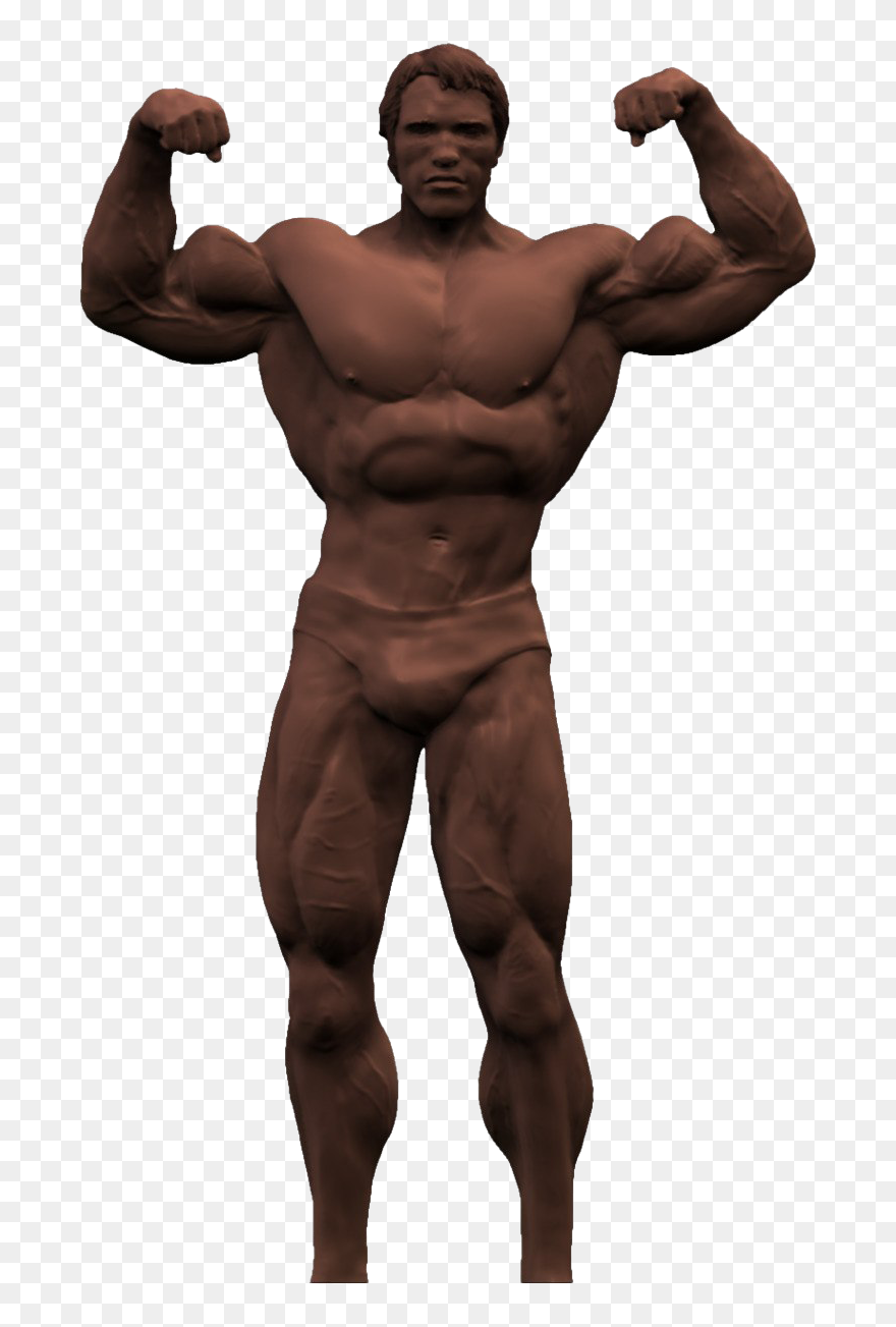 Arnold Schwarzenegger Bodybuilding Png High Quality - Arnold Schwarzenegger Transparent Background Clipart