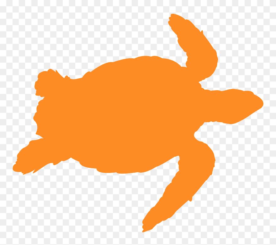 Yellow Outline Of A Turtle Clipart