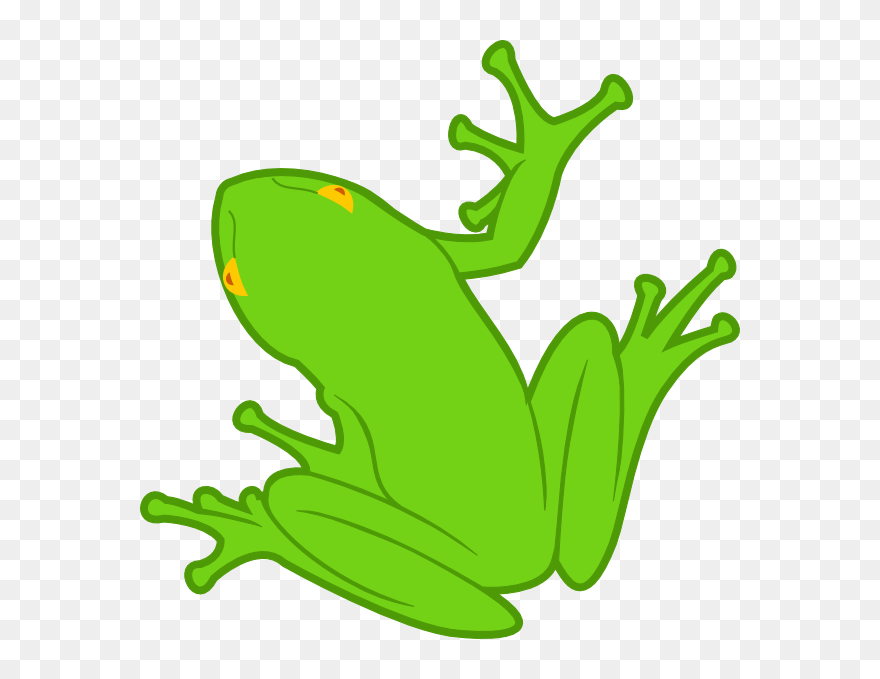 วาด สัตว์ ครึ่ง บก ครึ่ง น้ำ Clipart