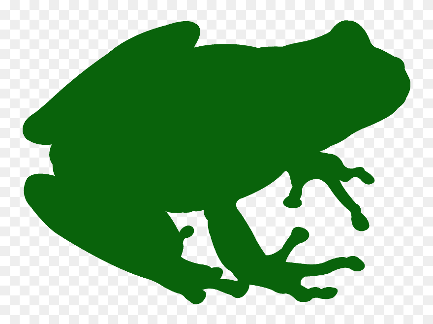 Tree Frogs Clipart - Png Download