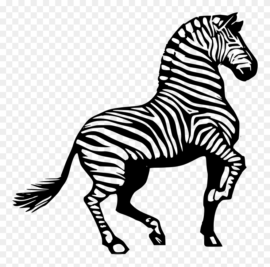 Black And White Zebra Clipart - Png Download