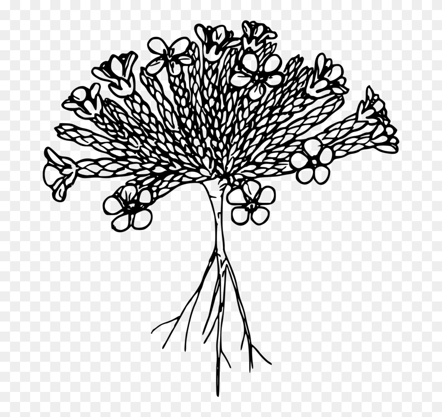 Art,symmetry,monochrome Photography - Line Art Clipart