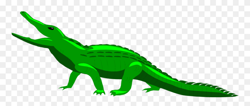 Clipart Alligator File - Alligators - Png Download