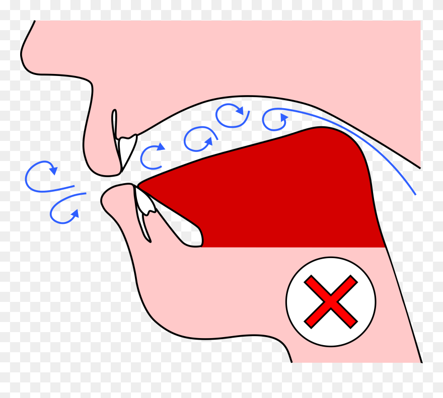 Clip Art - Png Download