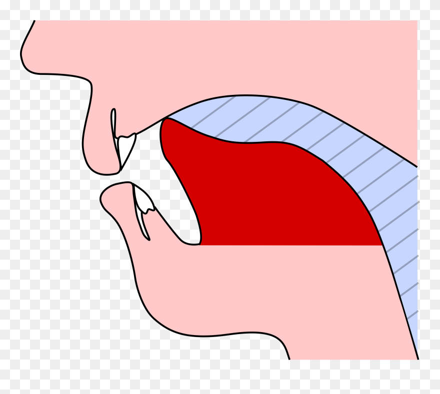 Clip Art - Png Download