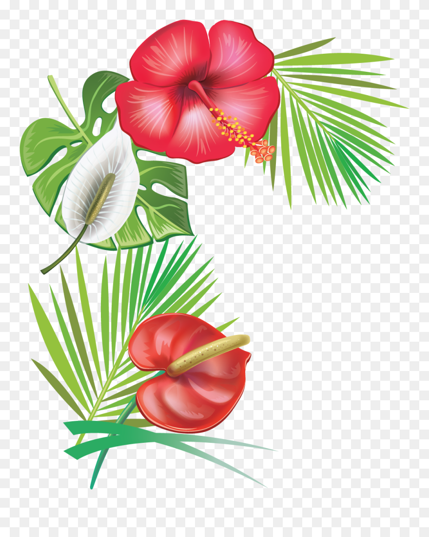 Caribbean Flowers Png Clipart