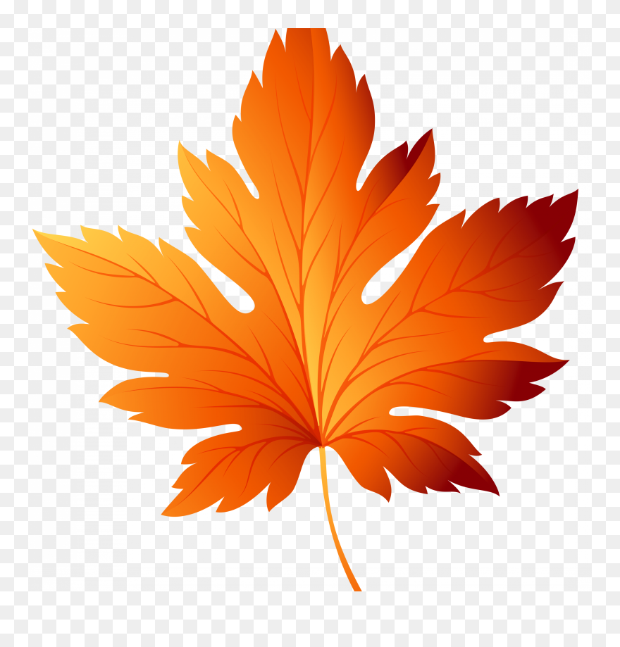 Clip Art Fall Leaf - Png Download