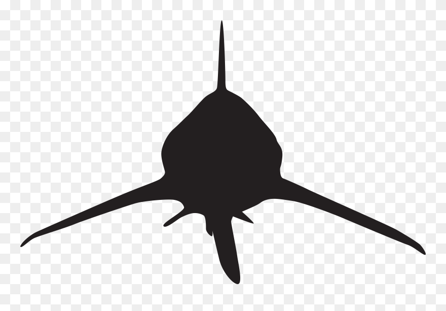 Shark Clipart Silhouette - Sharks Silhouette Png Transparent Png