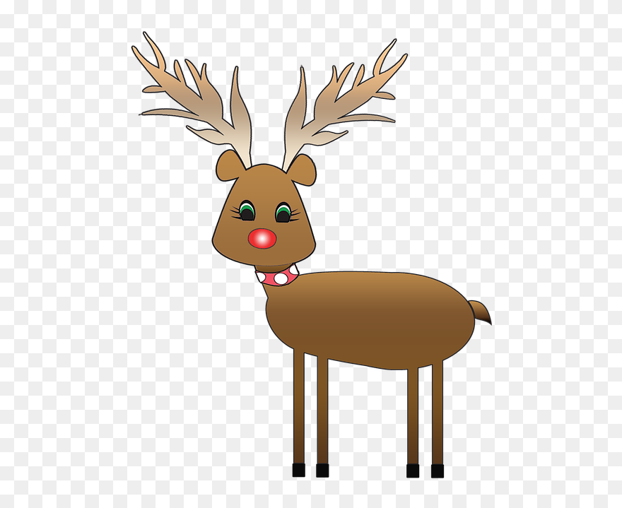 Transparent Deer Deer Reindeer Antler Clipart For Animals - Png Download