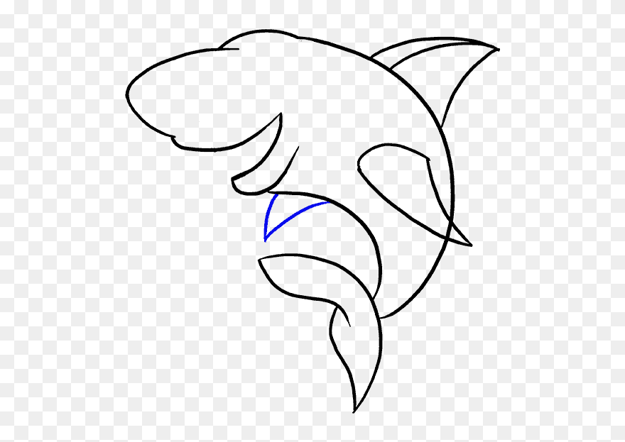 Cartoon Shark Drawings Easy Clipart