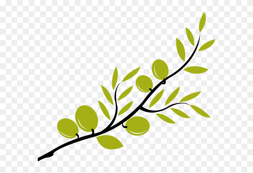 Olive Branch Mediterranean Cuisine Clip Art - Olive Tree Branch Clipart - Png Download