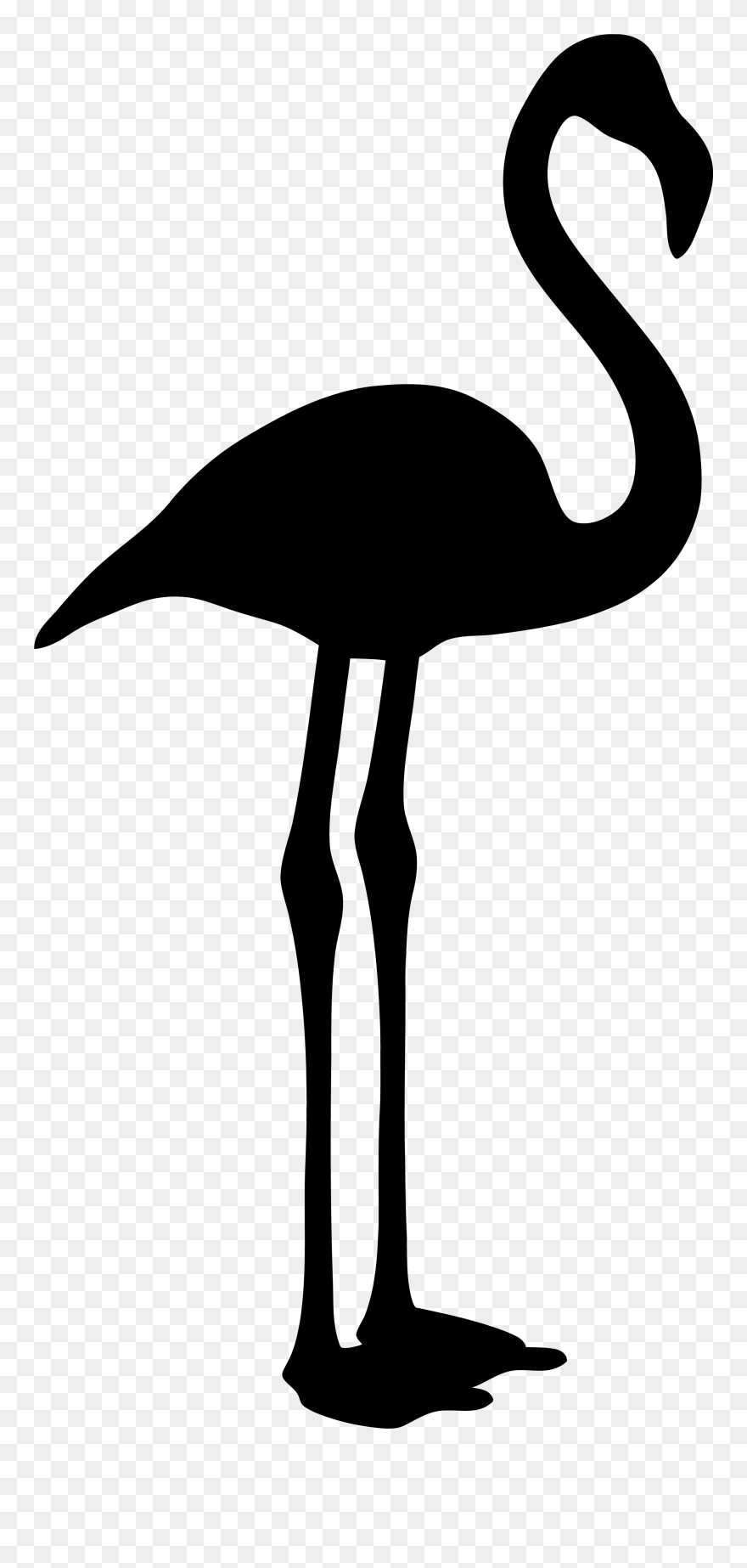 Pink Flamingo Clip Art Black White - Flamingo Black And White - Png Download