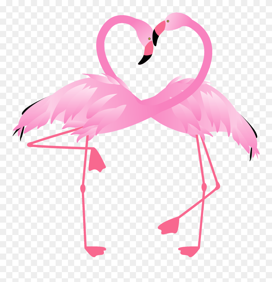 Greater Flamingo Clipart