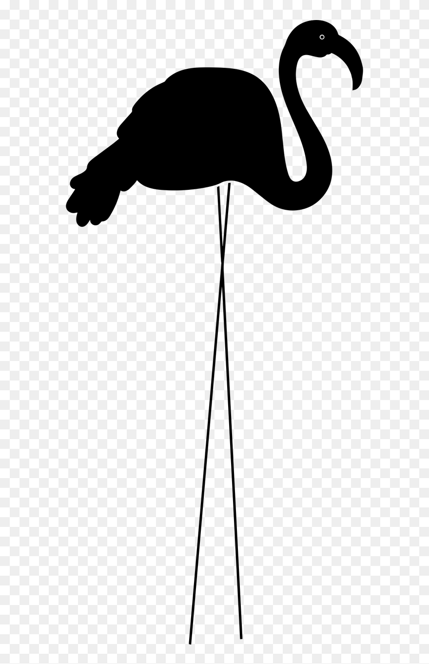 Clip Art - Png Download