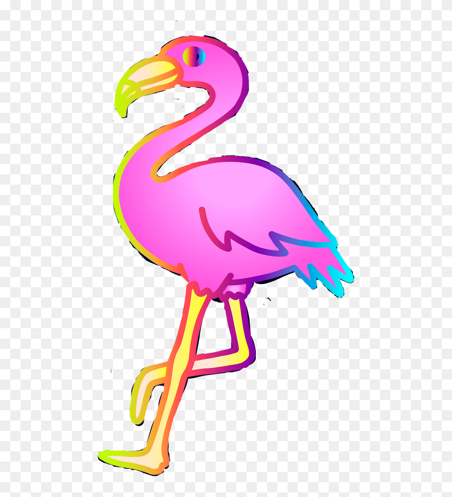#flamingo #flamingosticker #colorfulflamingo #rainbow - Greater Flamingo Clipart