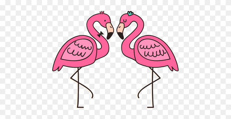 #flamingo #flamingos #birds #bird - Greater Flamingo Clipart