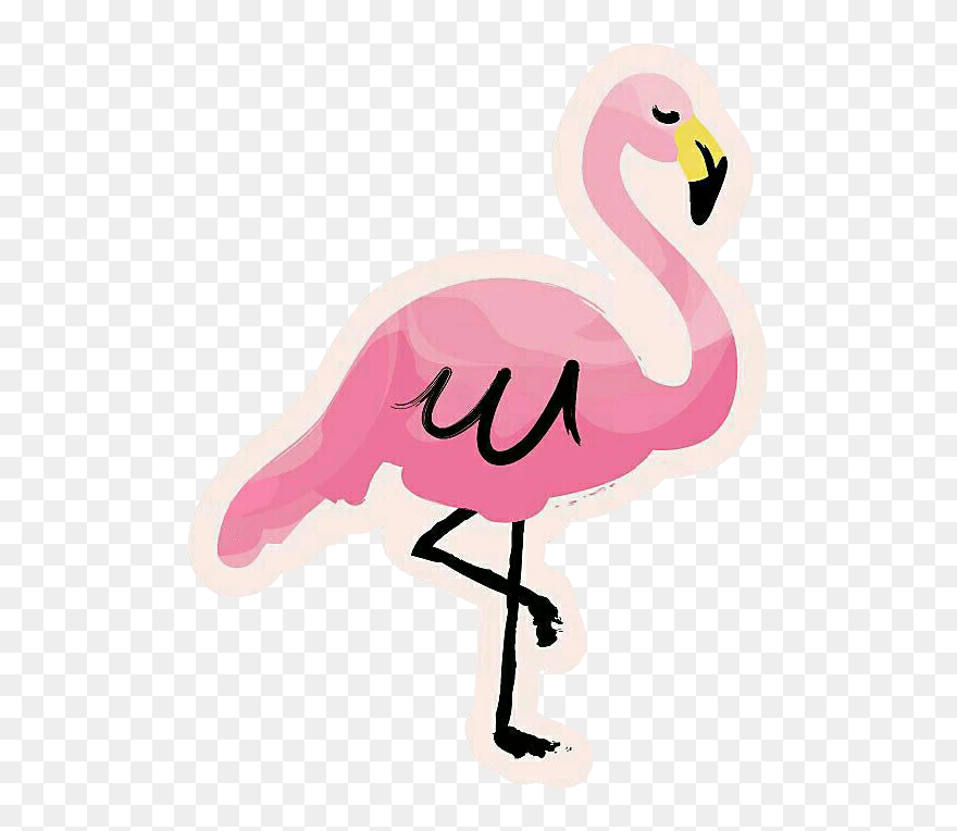 #flamingo #pink #summer #summertime #tropical#sticker - Cartoon Clipart