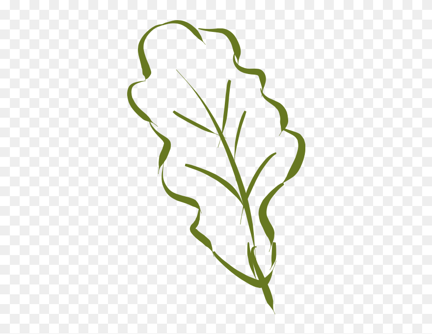 Oak Leaf-1577293685 Clipart (#5567449) - PinClipart