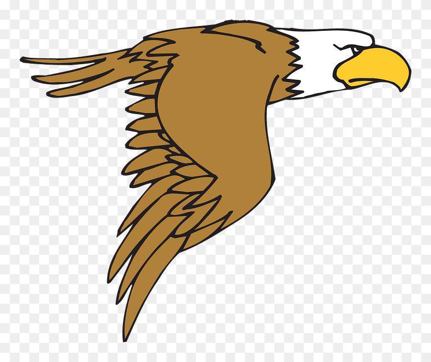 Flying Cartoon Eagle Clipart - Eagle Clip Art - Png Download