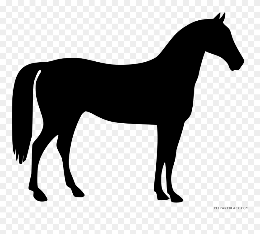 Horse Clipart Horse Head - Horse Vector - Png Download