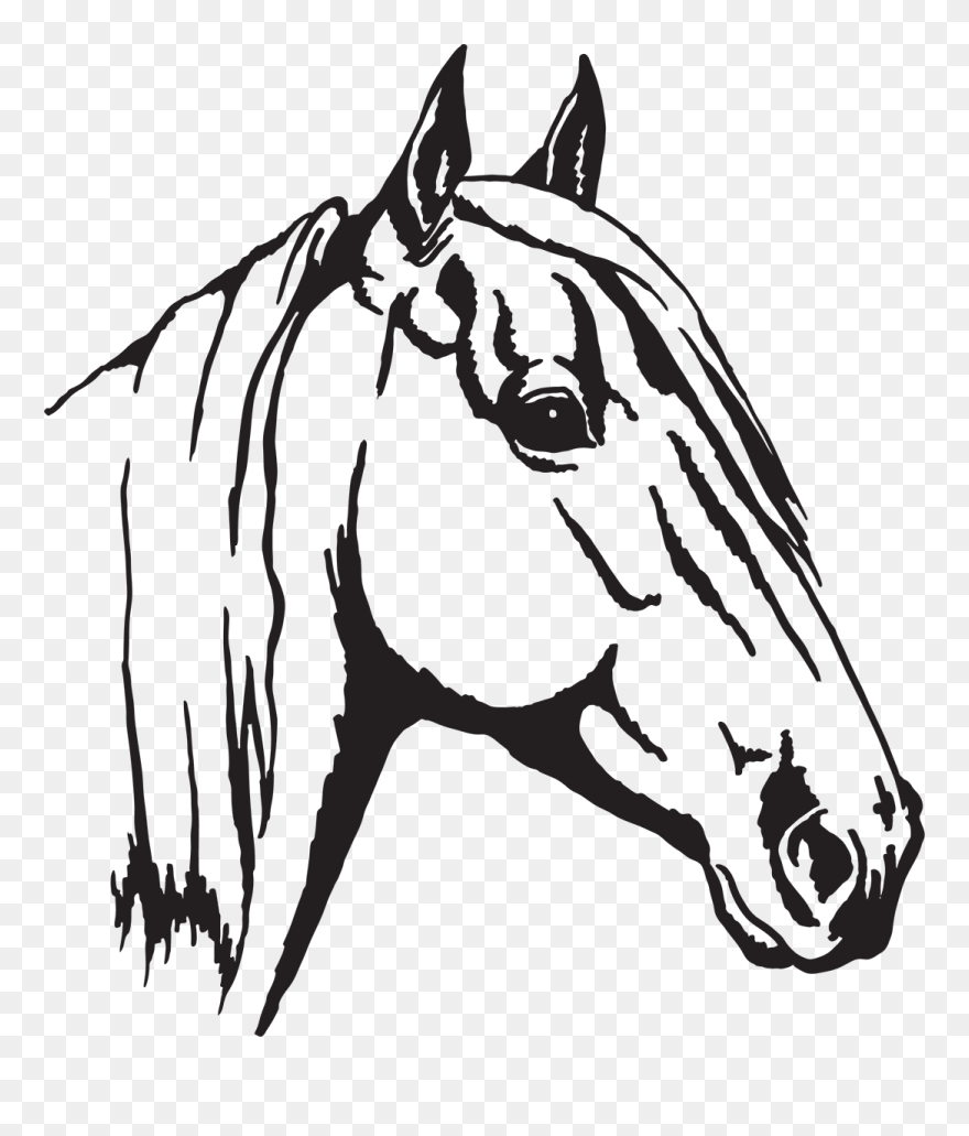 Arabian Horse Appaloosa Horse Head Mask Clip Art - Horse With No Color - Png Download