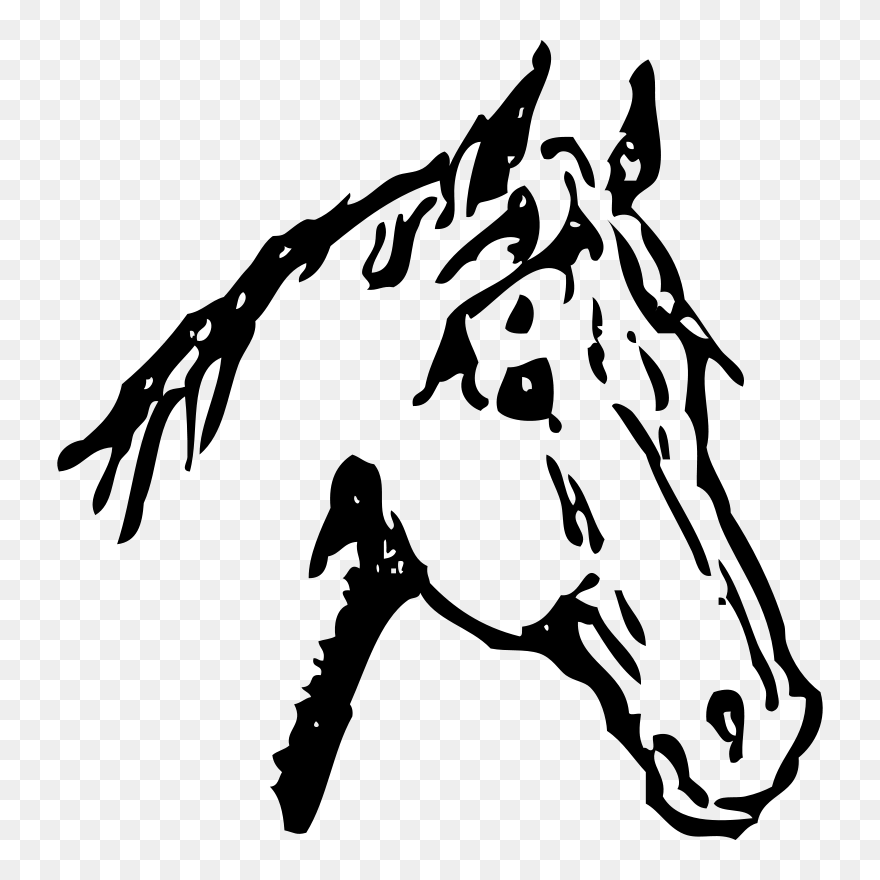 Horse Head - Clipart Pferdekopf - Png Download
