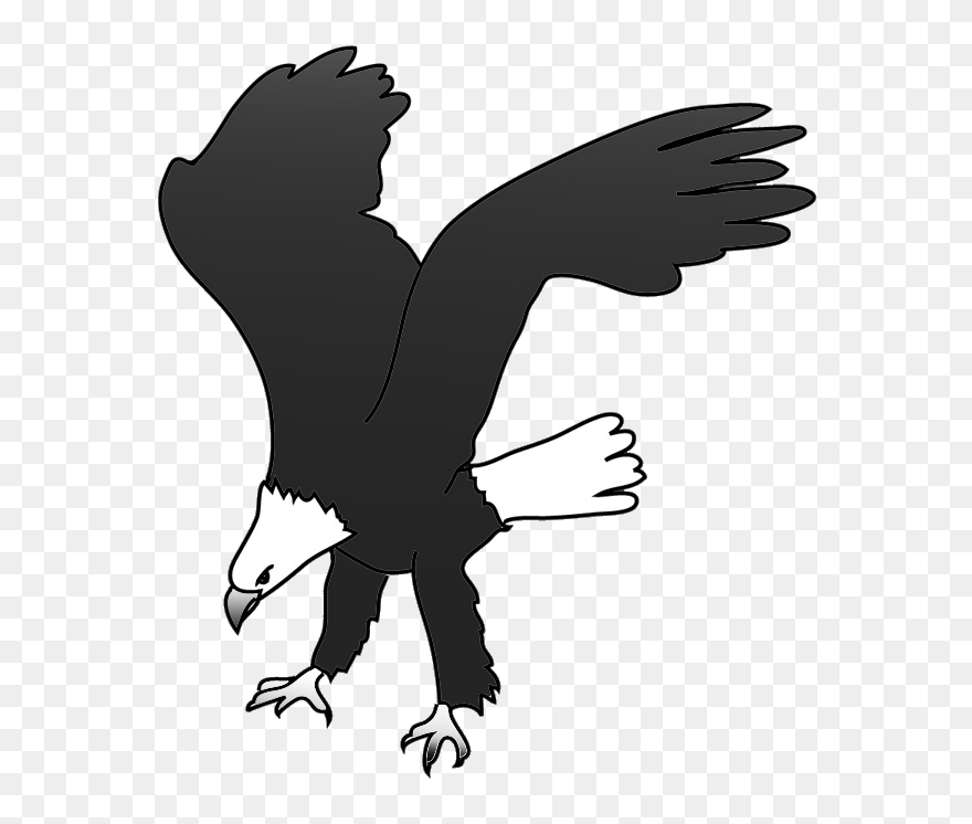 Bald Eagle Drawing Landing For Prey - New Eagle Landing Clipart - Png Download