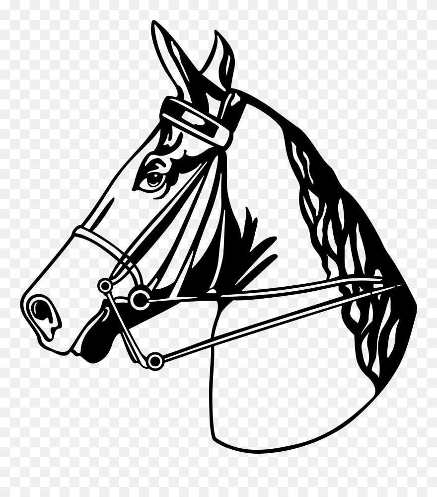 Horse Head Png Clipart - Horse Vector Transparent Png