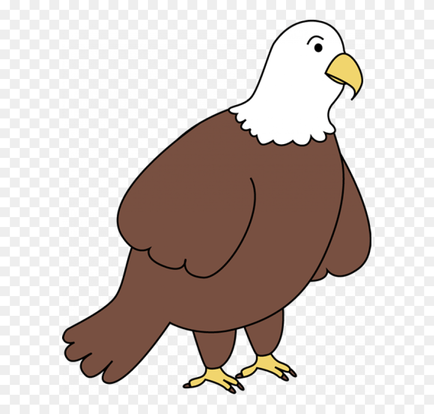 Transparent Chicken Wing Clipart - Cute Bald Eagle Clipart - Png Download