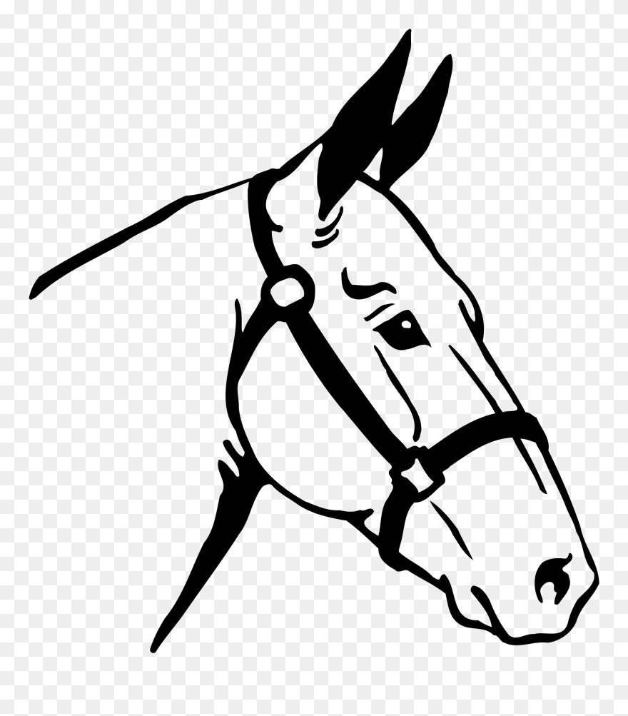 Horse Head Png Clipart Png - Horse Vector Transparent Png