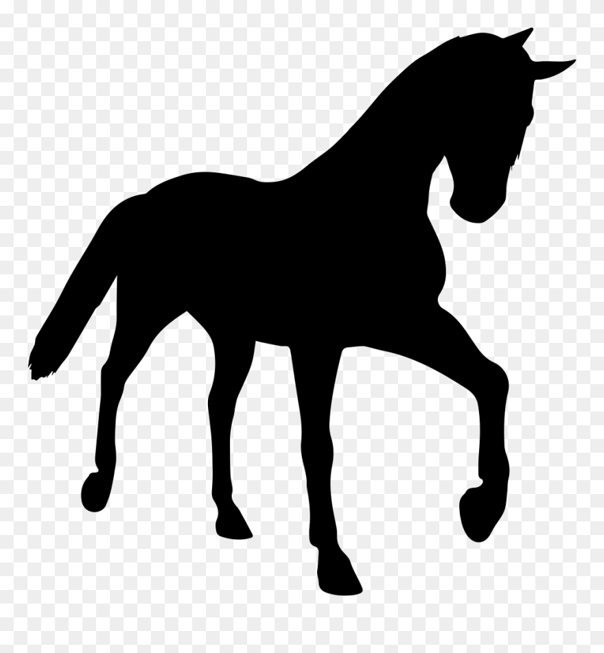 Horse Young Black Silhouette In Perspective Comments Clipart