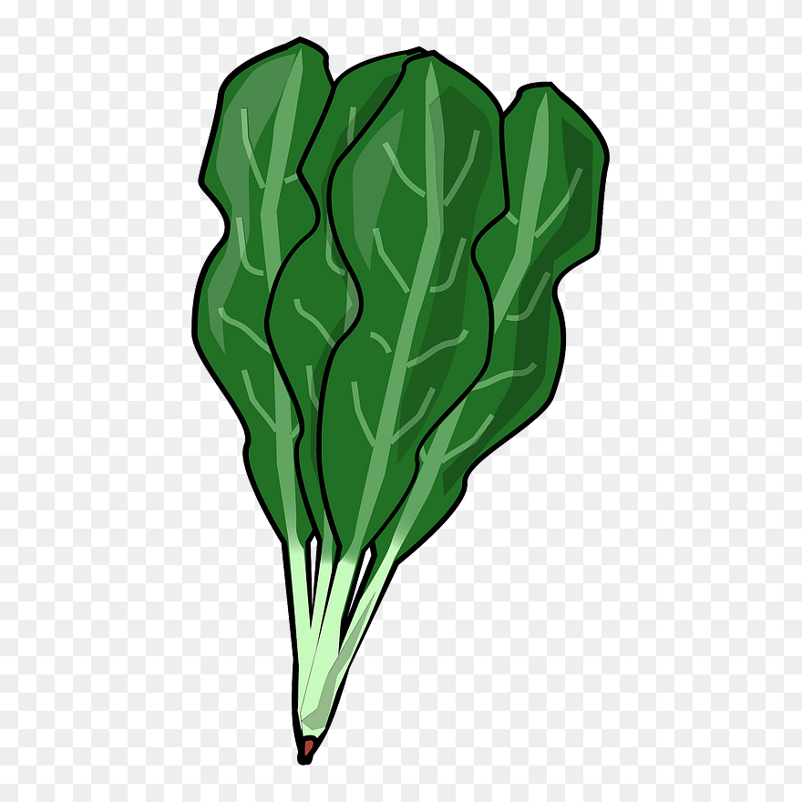 Spinach Vegetable Food Clipart - Png Download