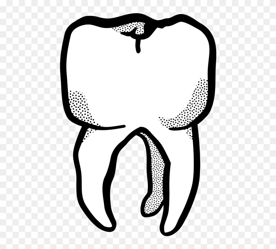 Line Art,organ,monochrome Photography - Teeth Lineart Png Clipart