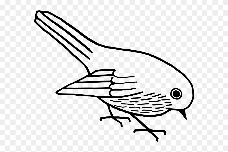 Black And White Clipart An Small Bird Clip Royalty - Bird Clipart Black And White Png Transparent Png