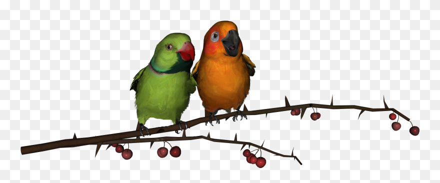 Transparent Parrots Clipart - Simple Love Bird Silhouette - Png Download