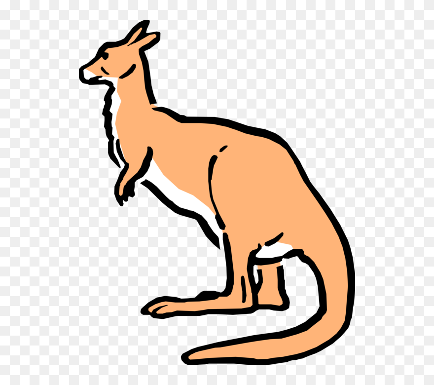 Vector Illustration Of Cartoon Australian Marsupial - Cartoon Kangaroo Clipart