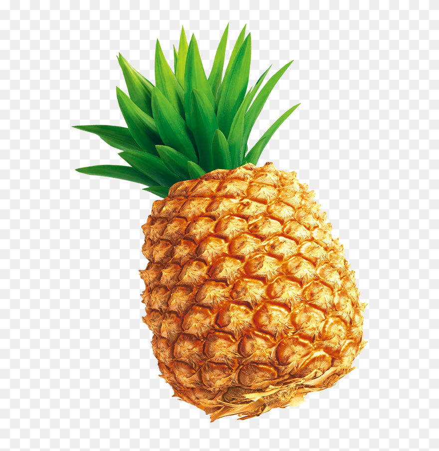 Tempting Pineapple Png Download - Pineapple Illustration Png Clipart