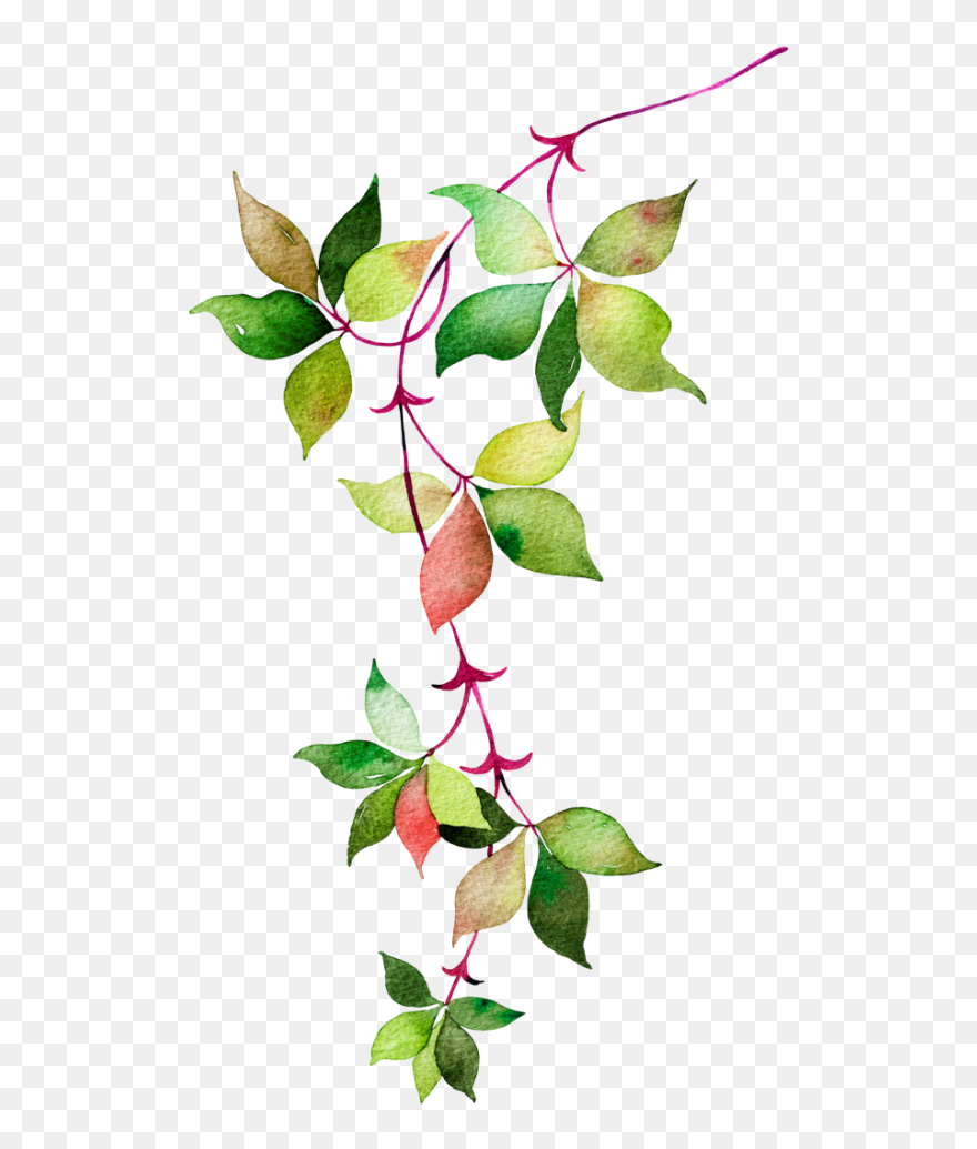 Watercolor Leaf Design Png Clipart