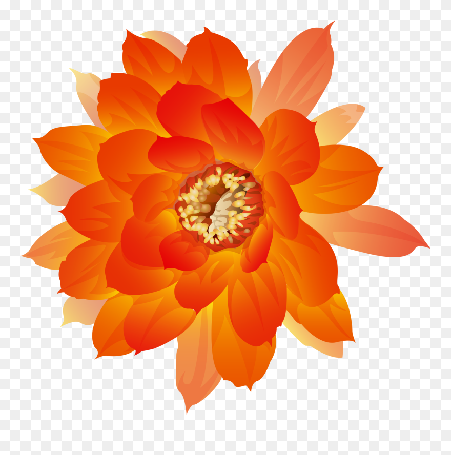 Watercolor Painting Icon - Orange Flower Png Transparent Clipart
