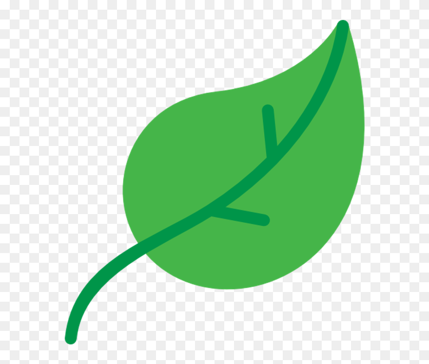 Icon Vector ใบไม้ Png Clipart