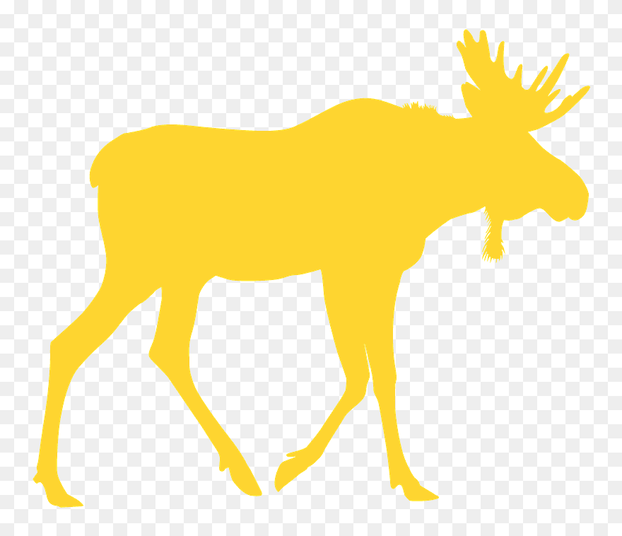 Illustration Clipart