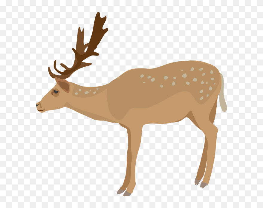 Transparent Background Deer Clipart - Png Download
